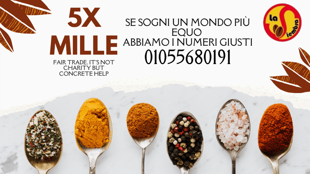 Articolo senza titolo 2446